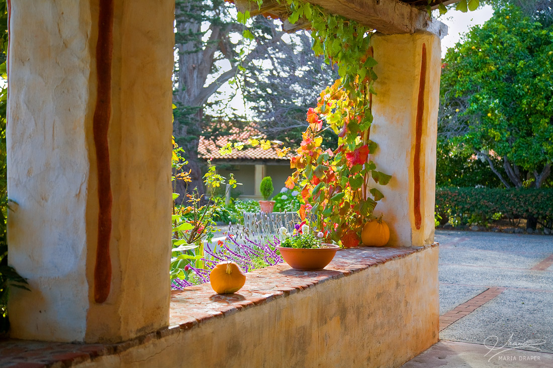 FALL AT THE MISSION