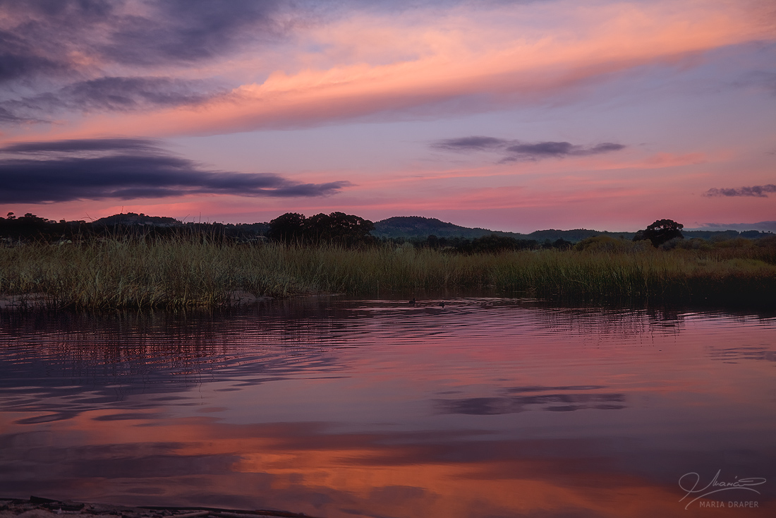 Carmel River Lagoon at Sunset | 