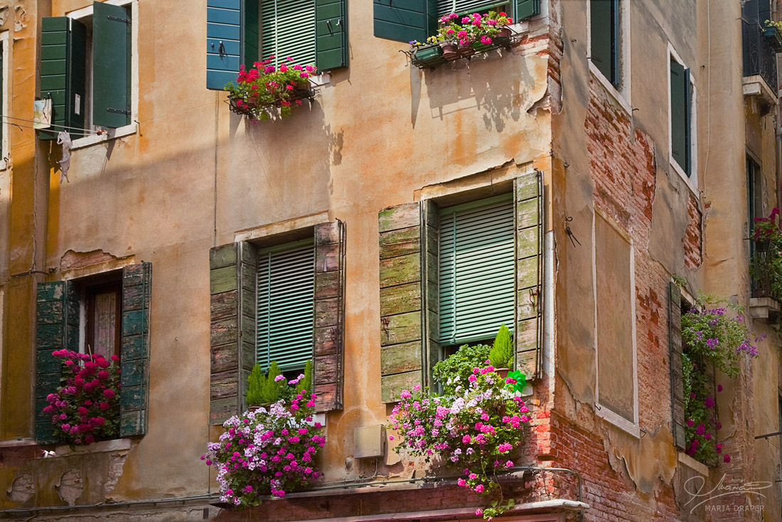 Flowers by the window, Venice | 