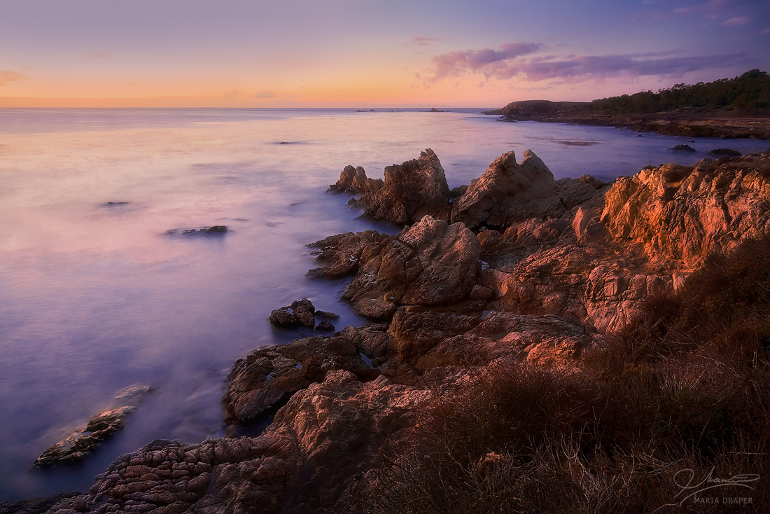 Point Lobos, South Shore | 