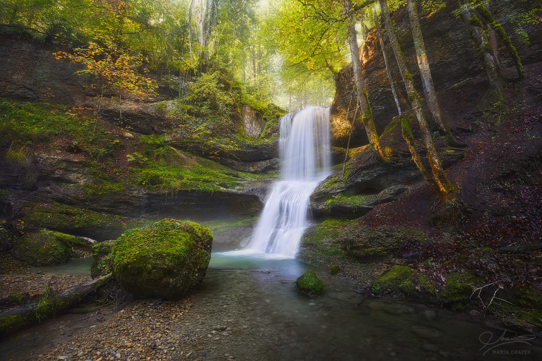 Hasenreute Waterfall | One of the many waterfalls in the Allgau region of Germany
</br>
This one is special to me because I found it by pure chance (no planning or anything), and for having all the right things in the right places, making it very easy to compose.  If I were to manually place each element in the scene, I could not have done a better job... 