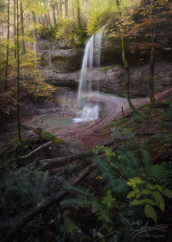 Walderlebnispfad Waterfall | 