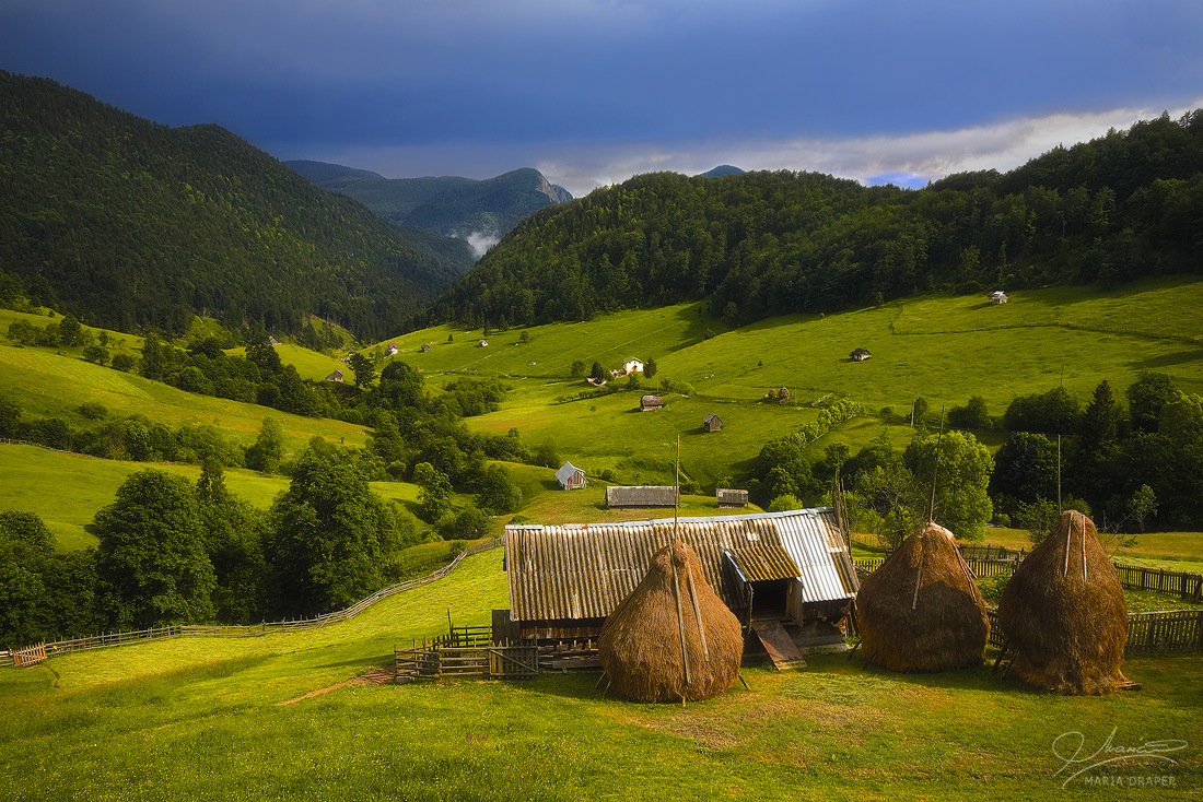Bran Rucar | Sheepfold on rolling hills off Bran - Rucar Road in Brasov County, Romania