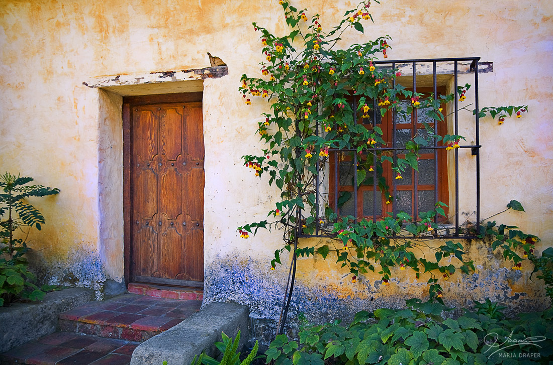 DOOR AND WINDOW