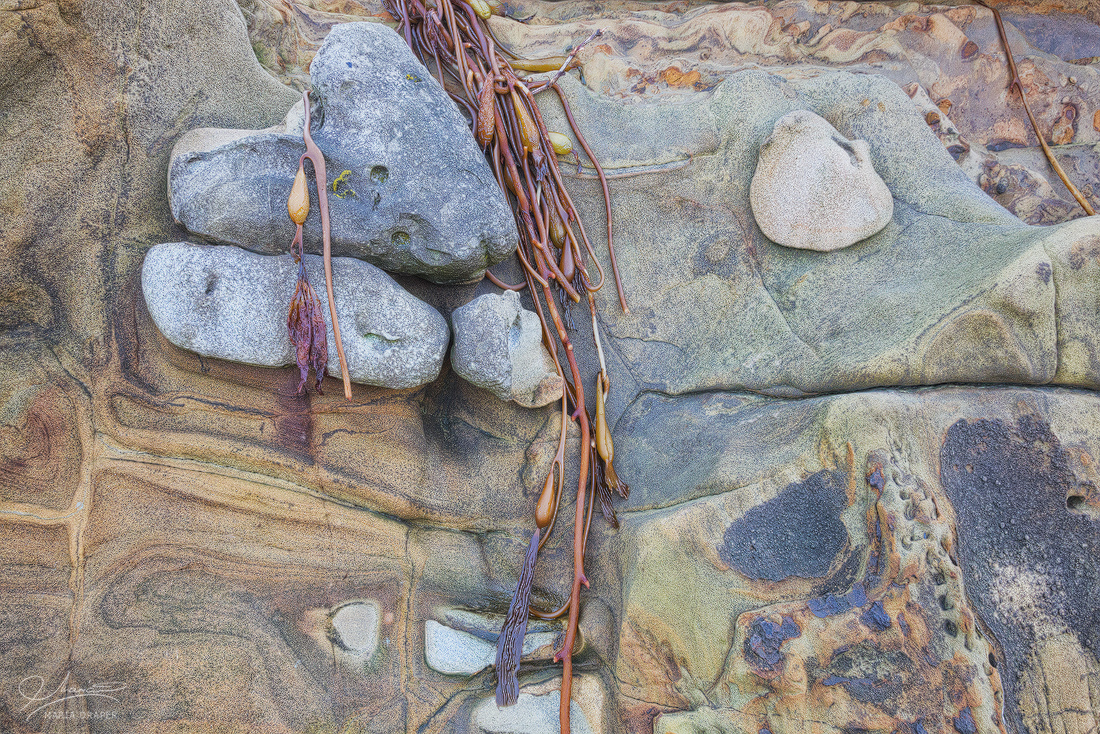 Sea Treasures | Rocks, stone and sea vegetation in a natural arrangement