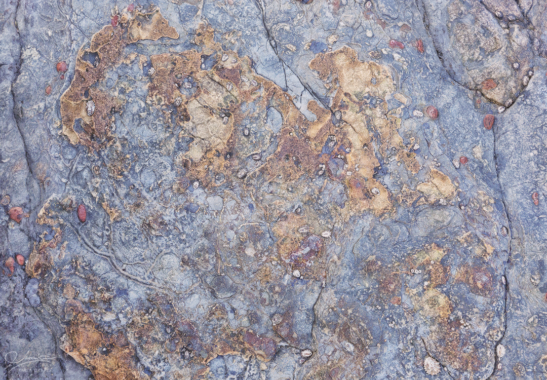 Sea Treasures | The stains on this rock remind me of the map of the world, perhaps a past world or even a future one!