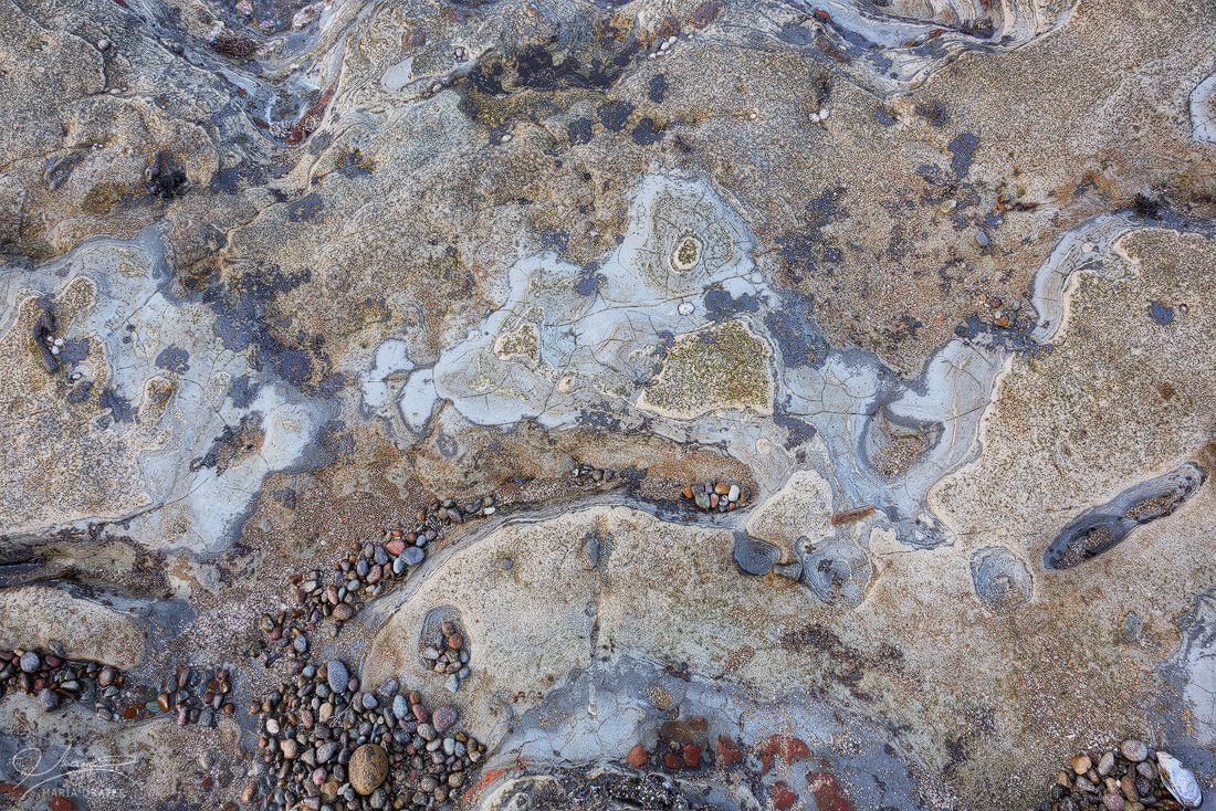 Sea Treasures | Patterns on a rock by the sea