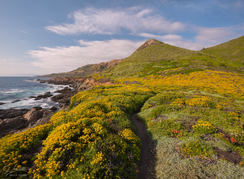 Soberanes Point | 
