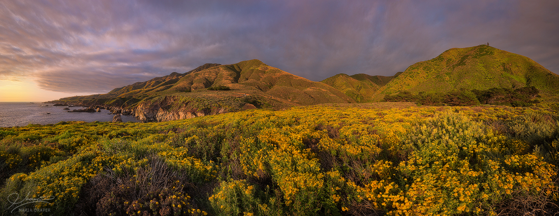 Garrapata State Park | 