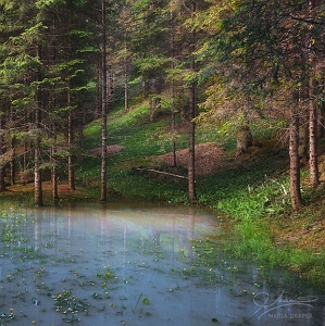 FOREST POND