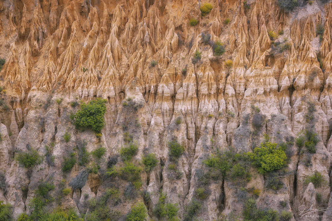 Fort Ord Public Lands | 
