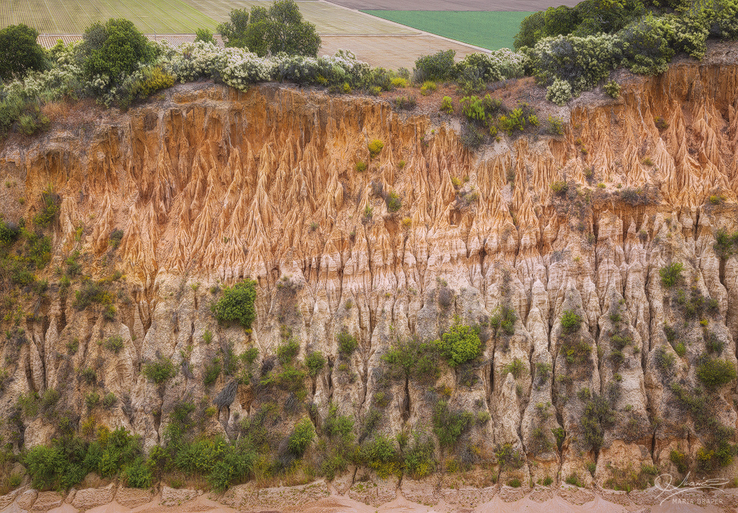 Fort Ord Public Lands | 