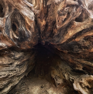 WOODEN CAVE