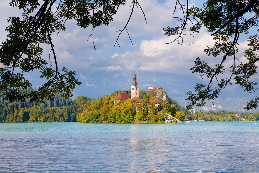 Mary Pilgrimage Church | Assumption of Mary Pilgrimage Church on the Lake Bled in Slovenia framed by the branches of trees along the shore.  In the distance Blejski Grad castle is visible