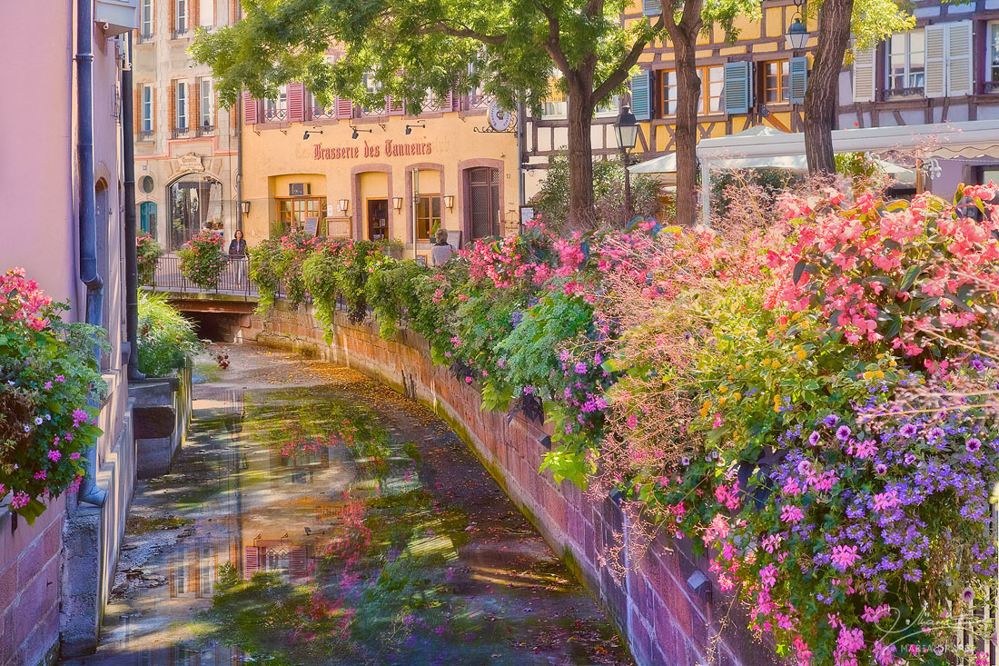 Colmar | View of a small canal passing through touristic center of Colmar in Alsace, France,  surrounded by flowers and local shops, on a beautiful Summer day