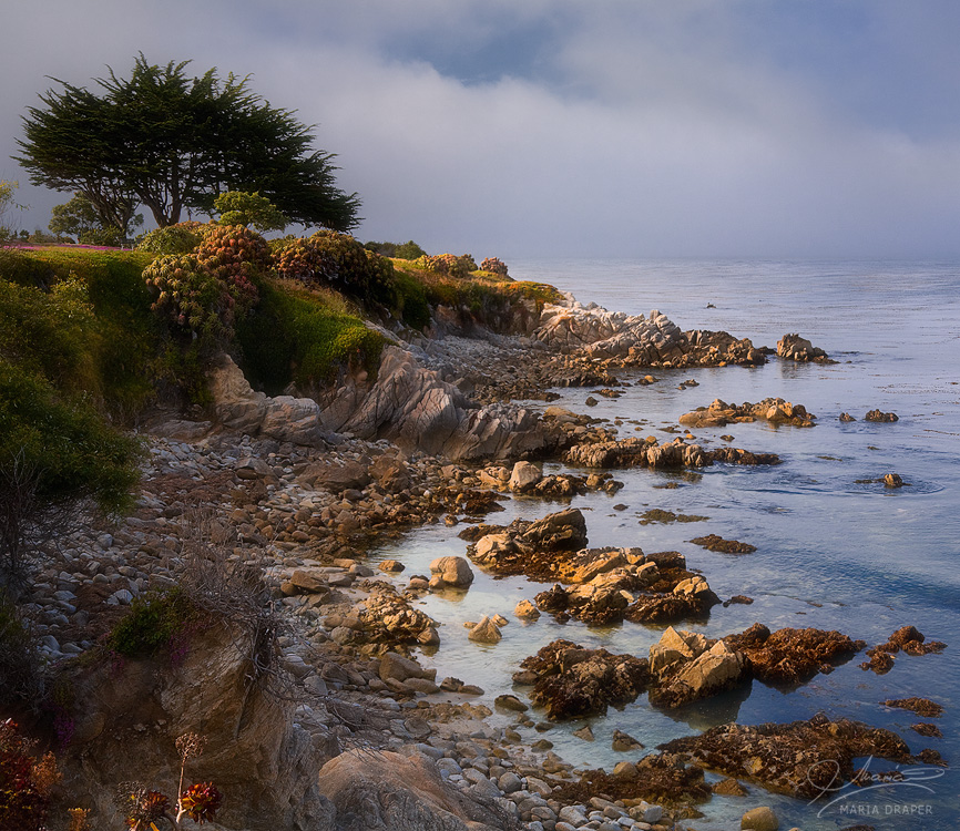 Perkins Point, Pacific Grove | 