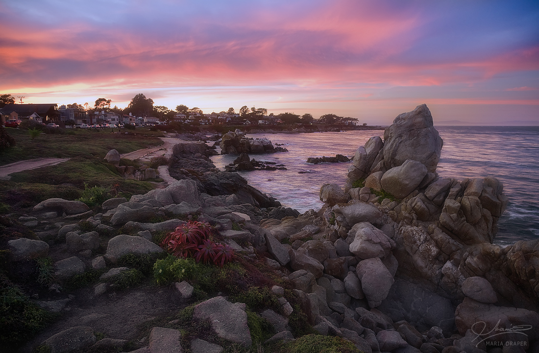 Pacific Grove Sunset | 