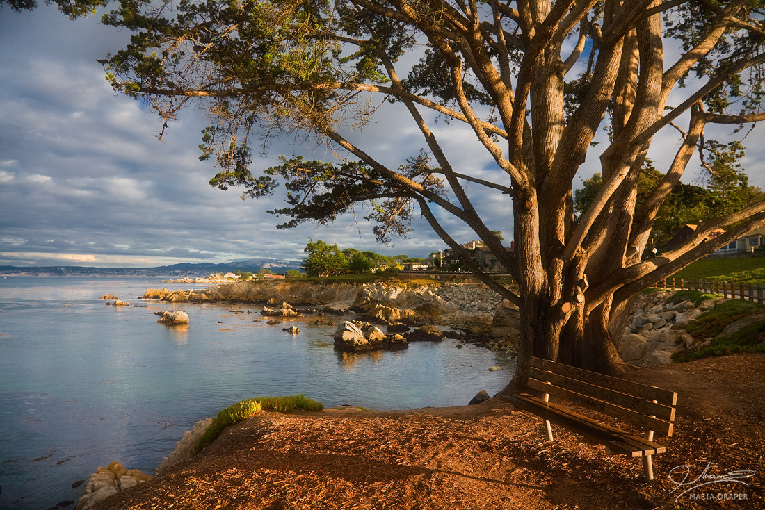 Benzick Park, Pacific Grove | Typical bench along the Pacific Grove coastline, in the late afternoon light