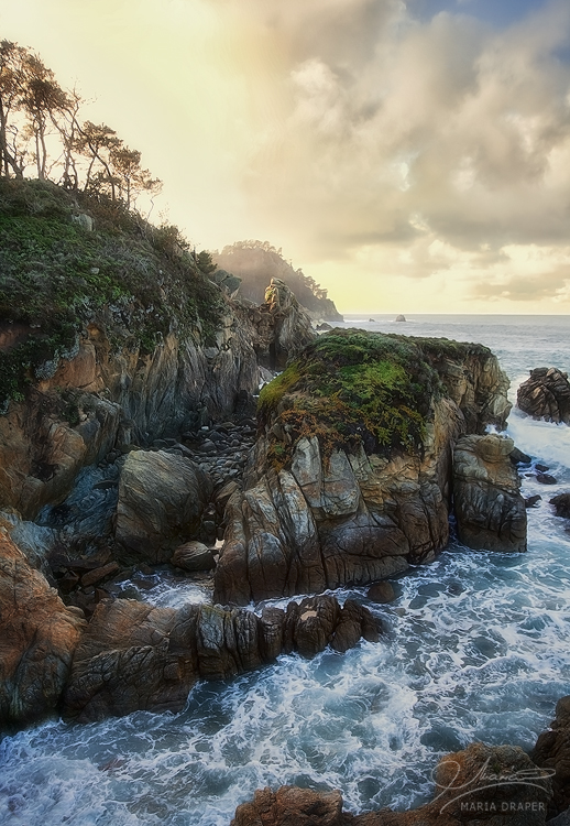 Cannery Point, Point Lobos | 
