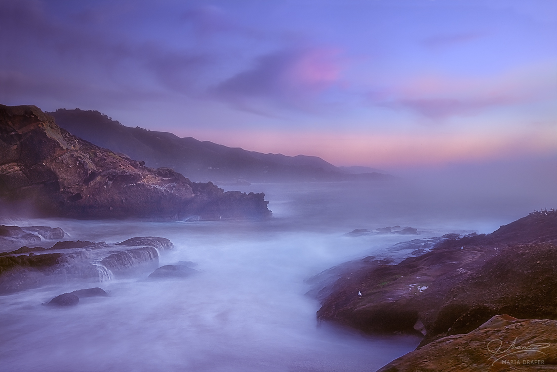 Sea Lion Cove, Point Lobos | 