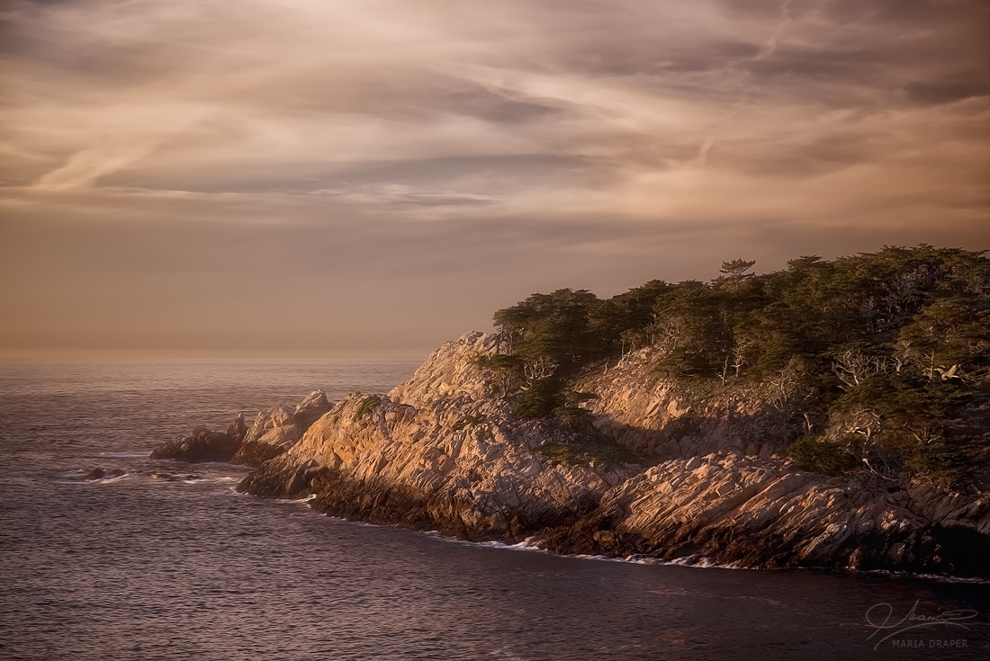 North Point, Point Lobos | 