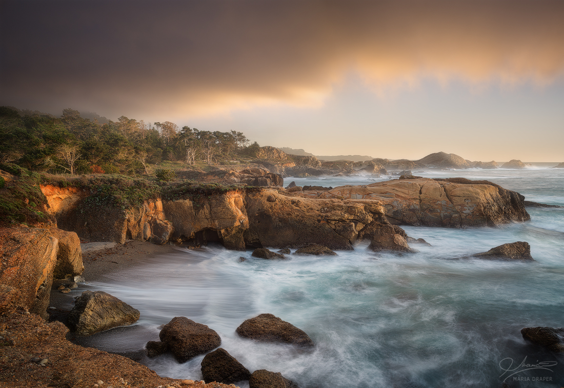 Point Lobos South Shore | 
