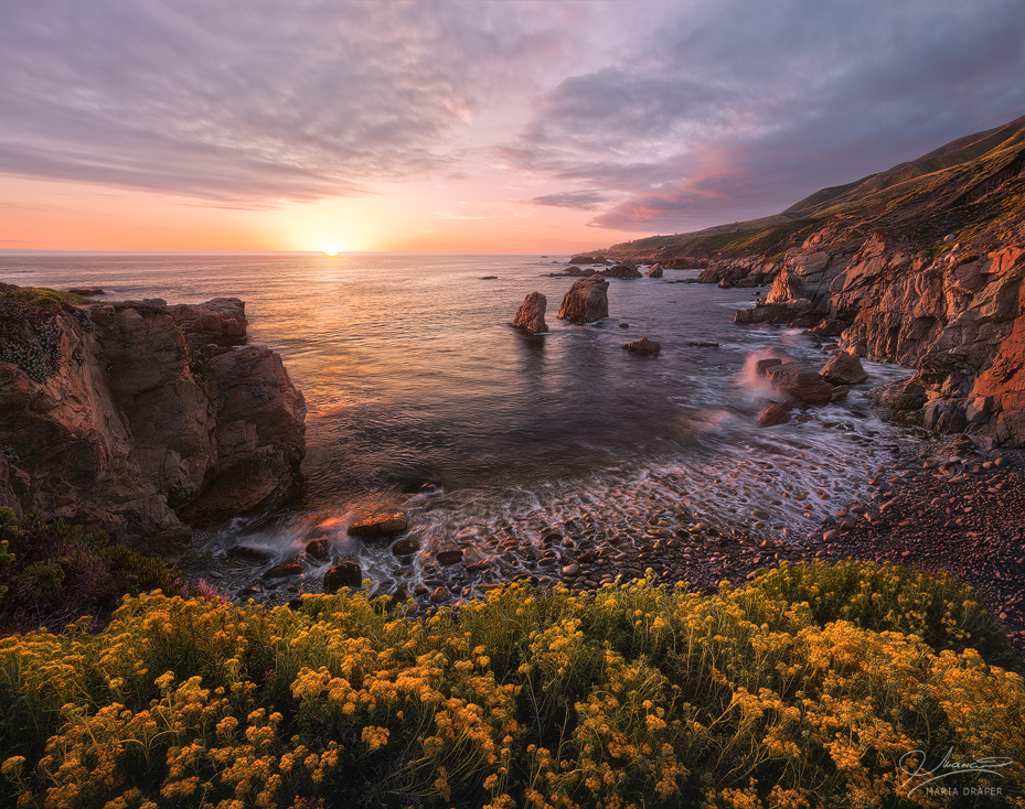 Garrapata Seastacls | Sunset in the Spring at Garrapata State Park with seastacks